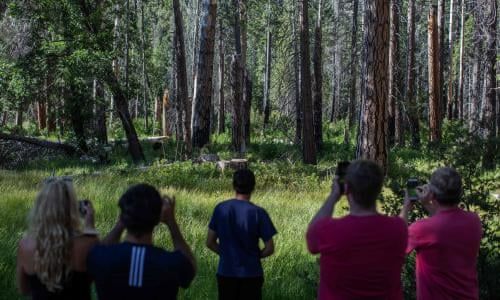 Destroying Nature,  Exploiting,  Humans Misusing,  Nature,  Unprecedent use